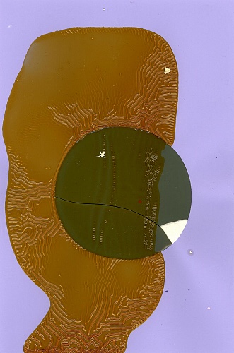 <i>Coloraid #38</i>, 1998-99